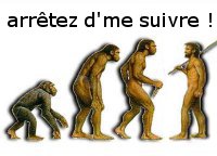 nain de file